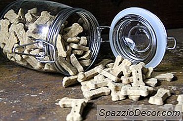 Bir Varil Köpek Gıda Depolama Bin Nasıl Yapılır