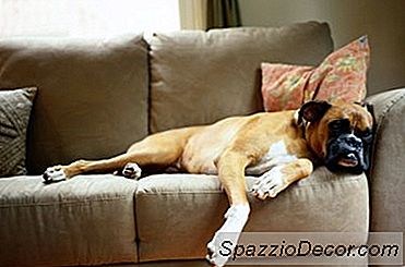 Plastik Borudan Köpek Yatağı Nasıl Yapılır