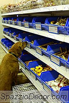 Come Fare Una Semplice Torta Di Cane