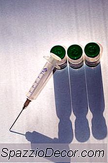 Horário De Vacinação Para Filhotes