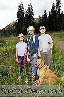 Orte, Um Mit Hunden Urlaub Zu Machen