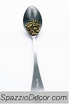 Pó De Semente De Psyllium Para Gatos