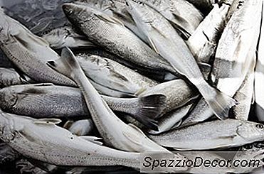 Ein Rezept Für Das Hinzufügen Von Fischmehl Zu Hundefutter