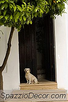 Puertas De Pantalla Para Perros