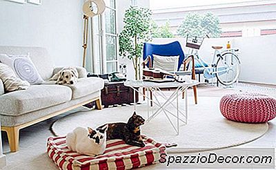 Aceste Stilouri De Pat Elegant Pentru Animale De Companie Vă Vor Da Paws (E)