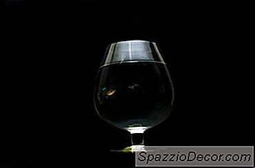 Yeni Bir Guppy Tank Bisiklete Binme İpuçları