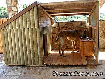 Trate O Seu Cão Para Uma Dessas Casas De Cachorro Inacreditável No Dia Nacional Do Filhote De Cachorro