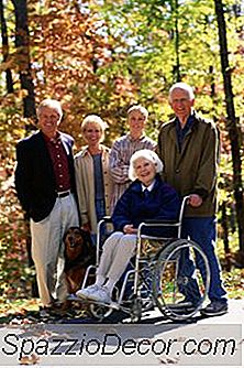 A Cosa Servono I Cani Da Servizio?