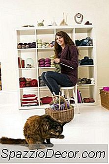 Quali Sono Le Cause Del Comportamento Eccessivo Di Leccare Nei Gatti?