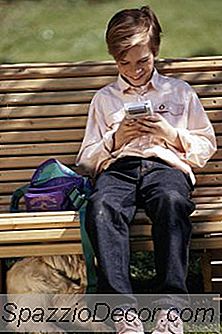 Hvorfor Gemmer Valpen Under Sofaen Og Vokser?