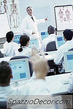 Anatomia & Fisiologia Requisitos Do Professor