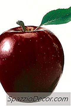 Apple-Kuitu- Ja Suolisto