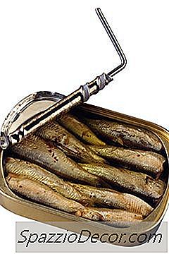 Jesu Li Sardine Zdrave Za Jesti?