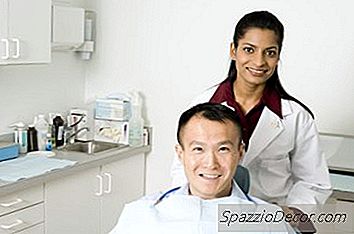 Vidutinės Odontologo Pajamos
