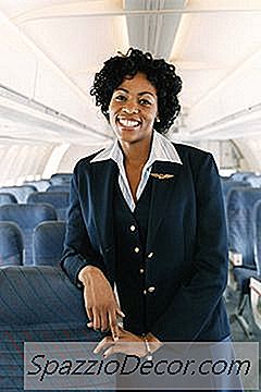 Grundlæggende Anliggender Som Flight Attendant