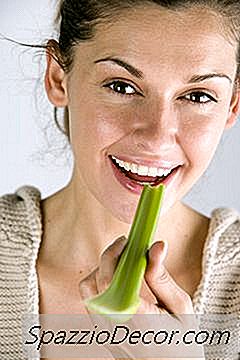 Kerevizdeki Karbonhidratlar