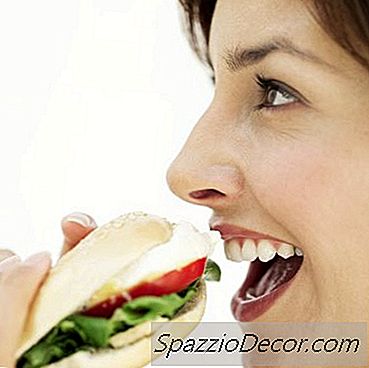 Kemijska Probava Ugljikohidrata, Proteina I Masti