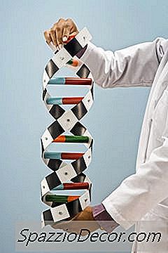 Klinische Genetiker Ausbildung & Training