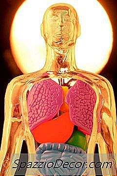 ¿Las Frutas Alimentan A Los Parásitos Intestinales?