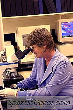 Plichten En Verantwoordelijkheden Voor Een Plaatsvervanger Voor Criminaliteit