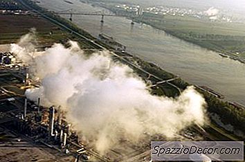 Veggente Ambientalista Scienziato Dell'Ambiente