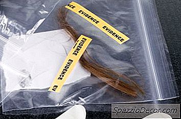 Rättsvetenskaplig Forskare Vs. Csi Forensic Scientist