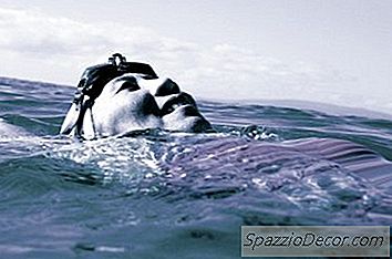 Treinamento De Half-Ironman