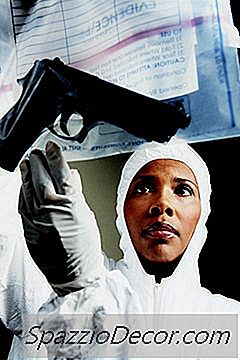 Quanto Tempo Leva Para Se Tornar Um Agente Da Csi?