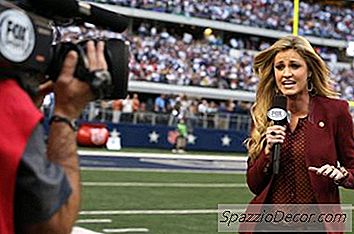 Hoeveel Geld Maakt Een Sportzender?