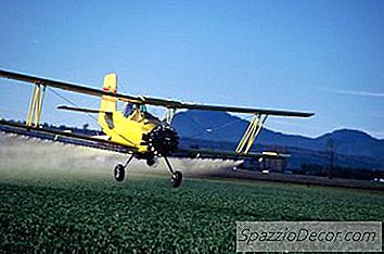 Bagaimana Untuk Menjadi Pilot Plane Spray