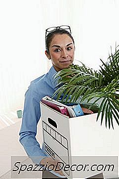 Como Coletar O Desemprego Se Você Sair Do Emprego