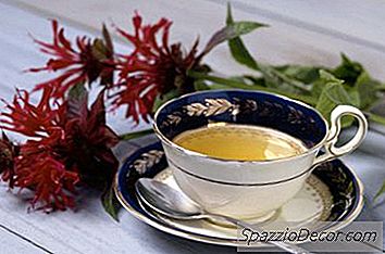 Cách Sử Dụng Bột Stevia Xanh
