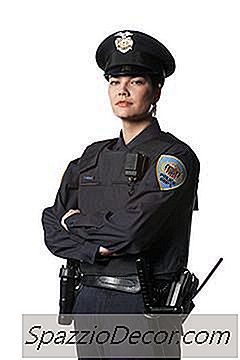 Descrições De Cargos Da Polícia E Dos Bombeiros