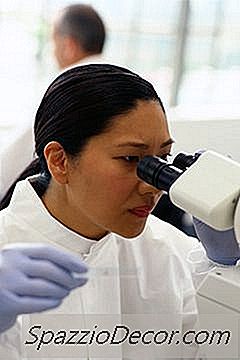 Genetikte Kariyer Listesi