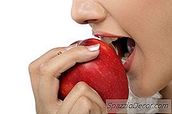 Localização Da Digestão Dos Carboidratos