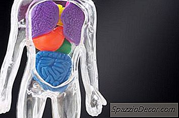 Основна Цел На Ензимите В Човешкото Тяло