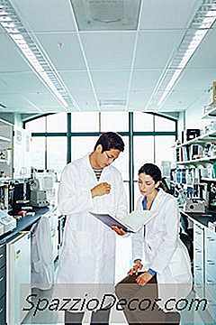 Obiectivele De Lucru În Domeniul Microbiologiei