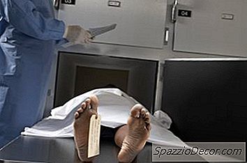 Morgue Fotografije Karijere