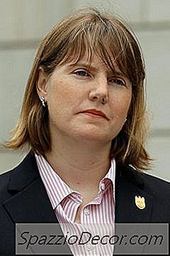 Ncis Carrière
