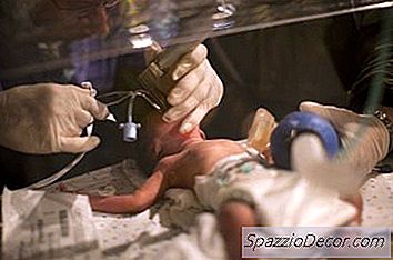 Mô Tả Công Việc Sơ Sinh