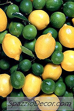 Nutrientes Que Destroem O Ferro