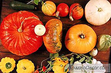 Citrouilles Et Fibres