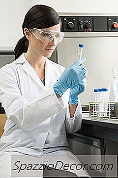 Qa Analyst Vs. Qa Tester