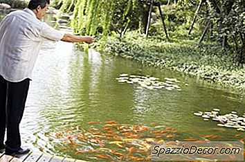 Responsabilidades De Um Aquiculturista