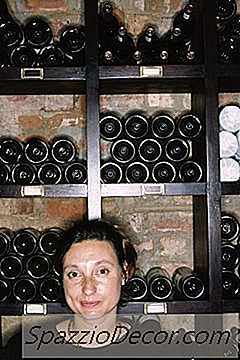 Заплата На Винтнер