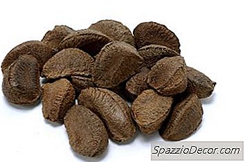 Selen & Brazil Nuts