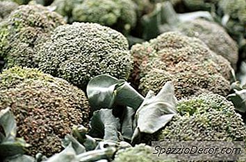 Tipos De Brócolis