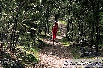 Koşu Egzersizleri