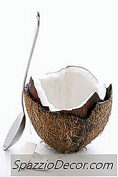신선한 코코넛의 소화 플러스는 무엇입니까?