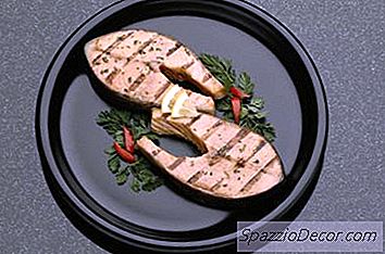 Koja Riba Ima Najviše B-12?
